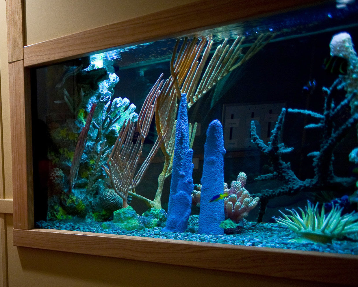 Aquarium